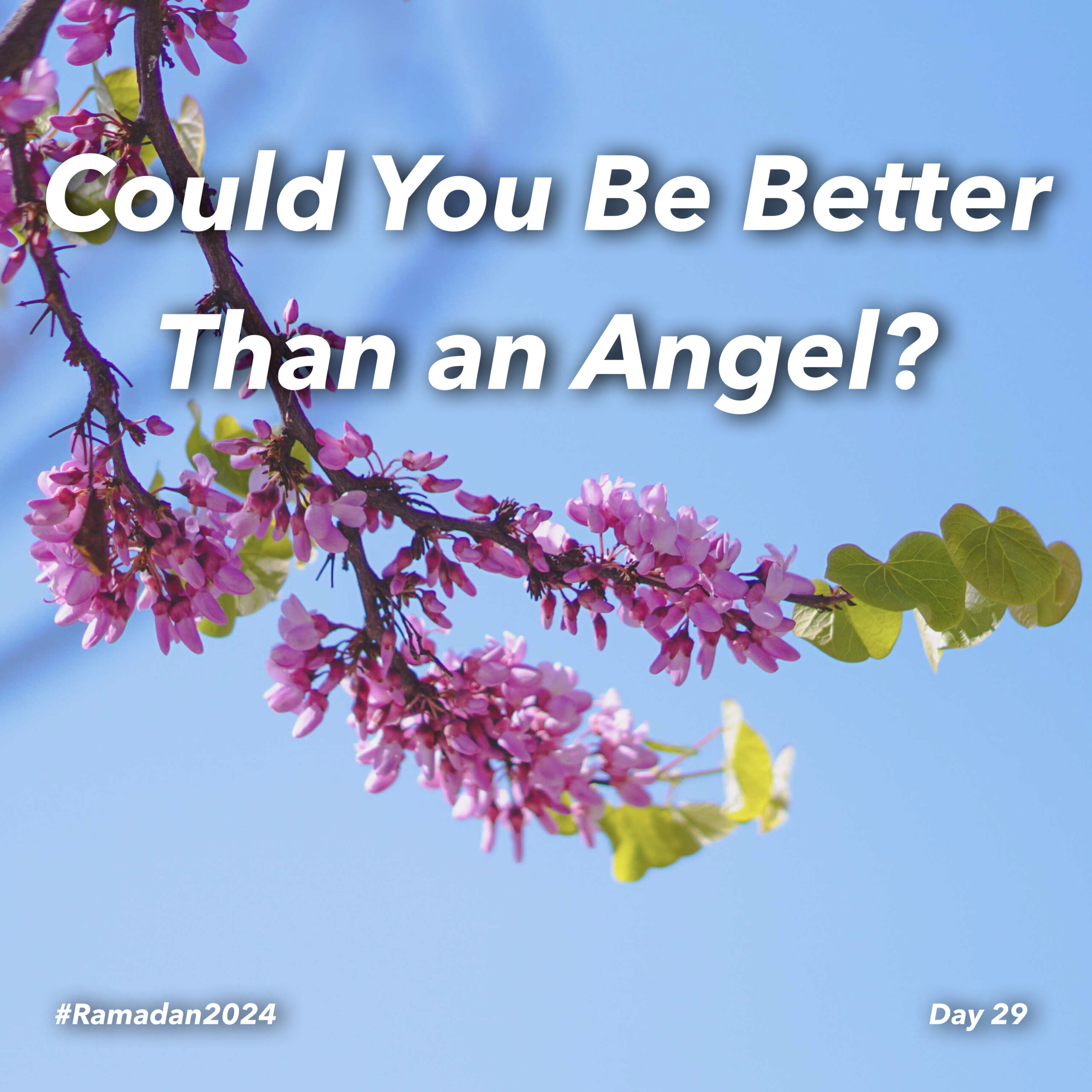 #Ramadan2024 – Day-29